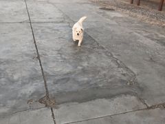 -敦煌雅丹国家地质公园