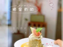 -猫里有甜