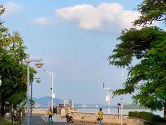 -长洲岛