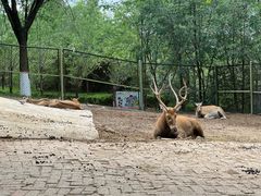 -青藏高原野生动物园