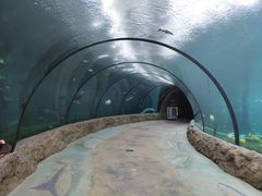 -珠海长隆海洋王国