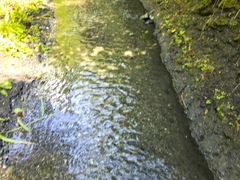 -峡谷浮石林景区
