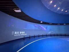 -广东惠东海龟国家级自然保护区