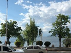 -野菌皇海景野生菌火锅(滨海大道店)