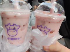-一只酸奶牛(大融城店)