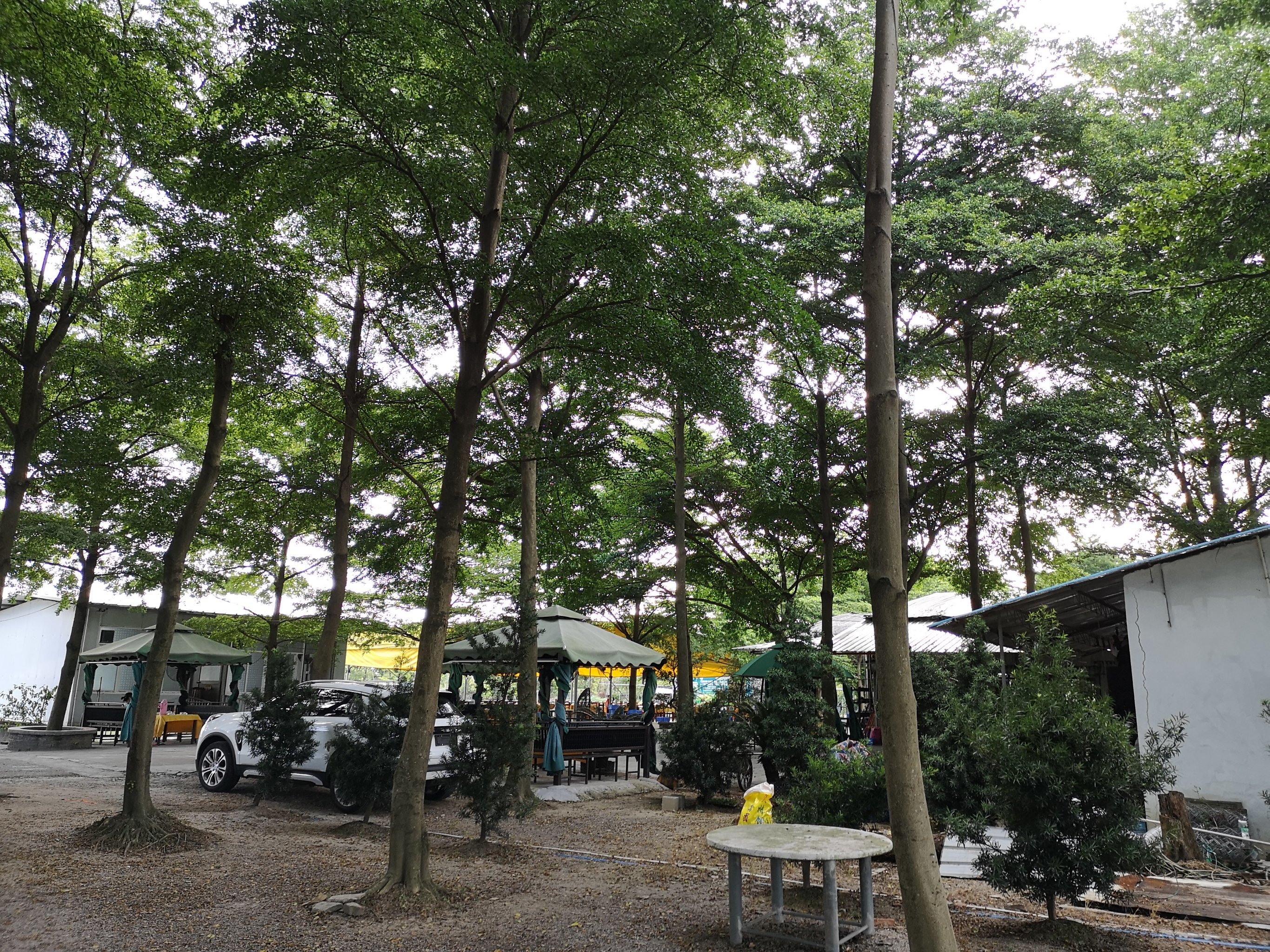 观龙岛生态农庄¥82/人2707番禺区广州菜评论还没有人评论,快来抢