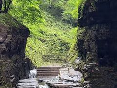 -野三坡百里峡景区