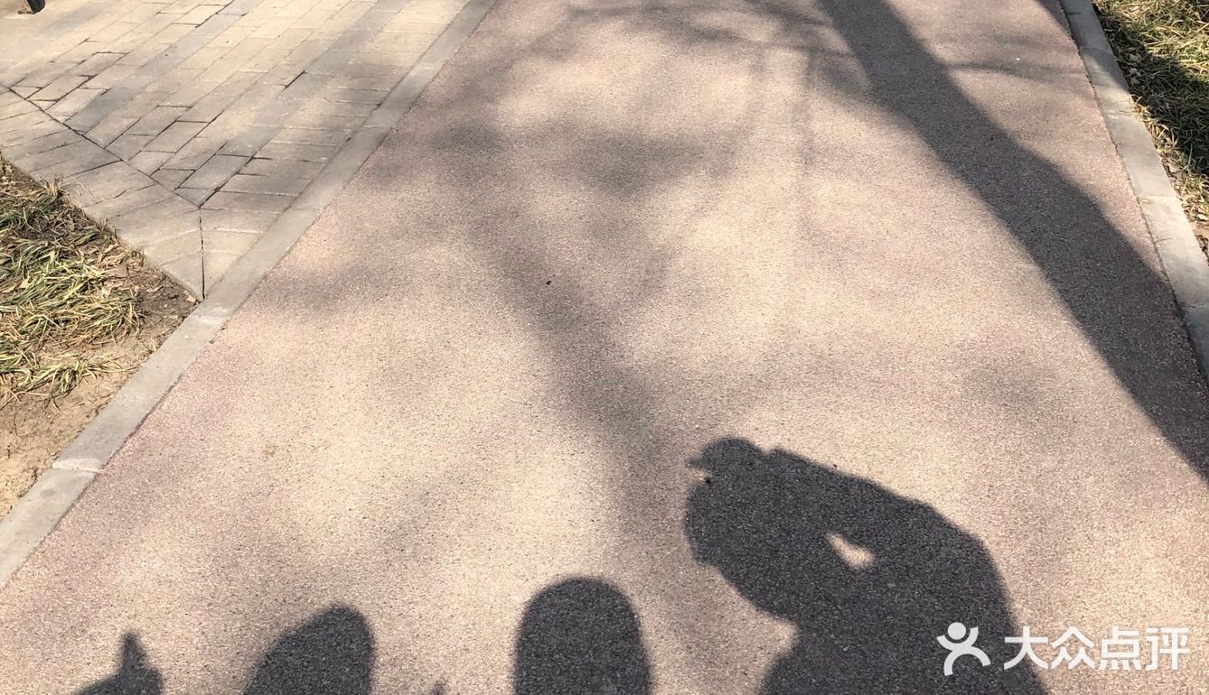 春天来临之际午饭后一家三口决定出去走走进门疫情期间