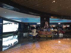 -春天国际影城(中庚漫游城杜比全景声店)