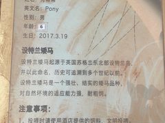 -舟山希尔顿酒店