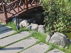 -蘇河湾·新鲁菜·泰山宴(泰山店)