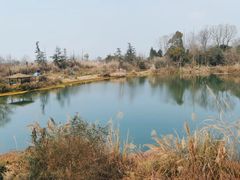 -桤木河湿地公园