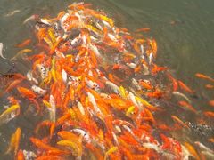 -泉州海丝野生动物世界