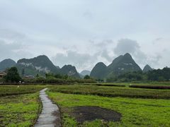 -靖西鹅泉风景区