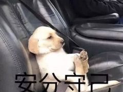 -味之绝热血美蛙鱼火锅(中坝店)