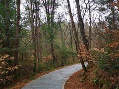 -青龙山国家森林公园