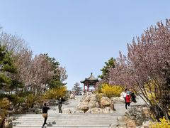 -大兴滨河森林公园