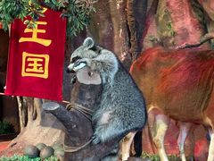 -长鹿旅游休博园