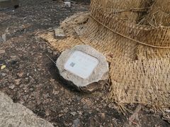 -上海佘山国家森林公园天马山园