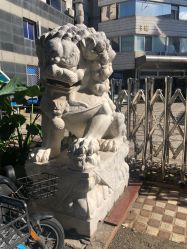 -欧扬医疗美容
