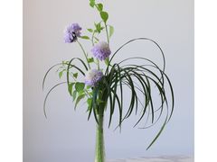 -荷兰布尔玛国际花艺学院