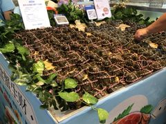 -盒马鲜生(莱蒙都会店)