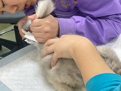 -天宠宠物医院24小时·急重症诊疗中心·全科·腔镜特色(和平分院)
