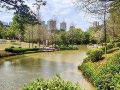 -中山市树木园