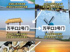 -日照海滨国家森林公园