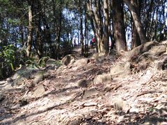 -火炉山森林公园