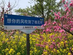 -南汇桃花村