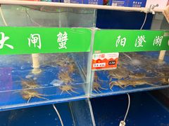 -阳澄湖大闸蟹·琼灵阁牌品牌连锁(吴中总店)