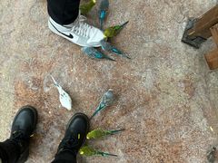 -杭州开元森泊度假乐园