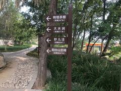 -阳台山自然风景区