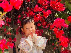 -厦门国家会计学院