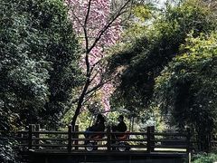 -上海怡沁园度假酒店