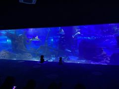 -江和美海洋公园