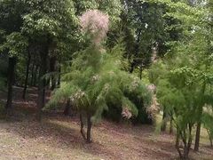 -新江湾城公园