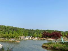 -佛手湖郊野公园