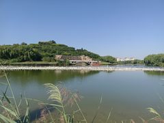 -河北省园博园