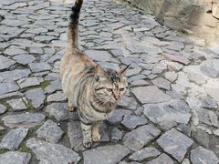 -狼山风景名胜区