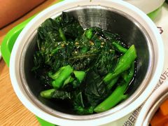 葱油菜苔-老乡鸡(上派人民东路店)