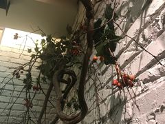 -可口香·非遗老号烧烤(南岗直营店)