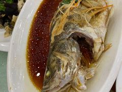 -大铁勺新津菜(东丽阳光新业广场店)