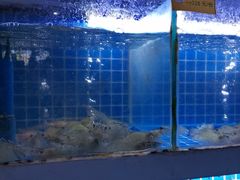 -湘君私厨.16年湘菜店(金匙望湖店)