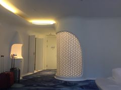 -深圳东部华侨城瀑布酒店
