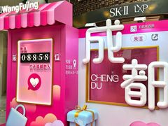 -王府井百货(总府店)