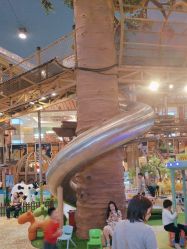 -卡通尼·Safari非洲探索乐园·生日会(金桥国际商业广场店)