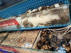 -佰烧海鲜烤肉火锅自助(世茂国际广场店)