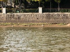 -闽江夜游台江旅游码头